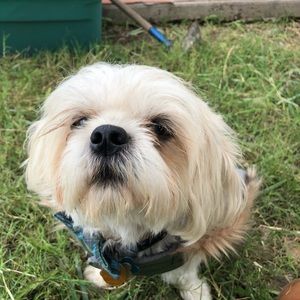 Meet your Posher, Maritza